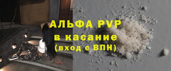 спиды Бородино