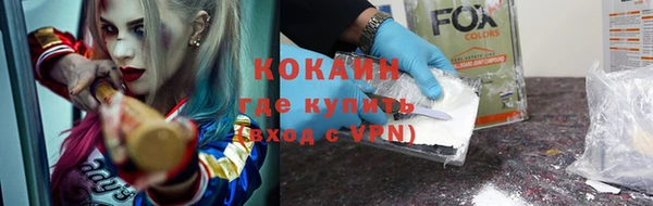 спиды Бородино
