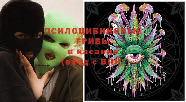 спиды Бородино