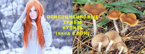 спиды Бородино