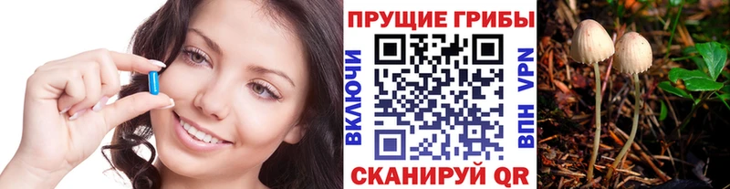 Псилоцибиновые грибы мухоморы  kraken как зайти  Отрадная 
