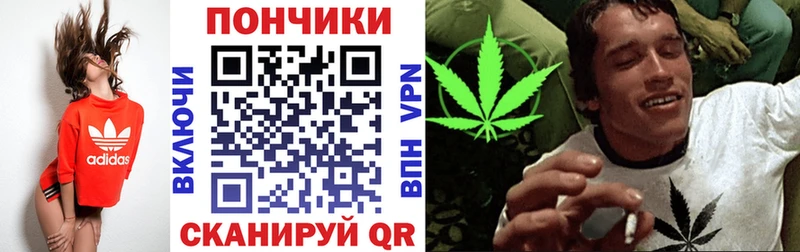 Конопля марихуана  darknet наркотические препараты  Отрадная  наркота 